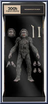 Moon Watcher from 2001: A Space Odyssey - Ultimates manufactured by Super7 [Front]