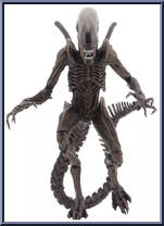 Xenomorph Warrior from Alien Resurrection - Basic Series manufactured by Neca [Loose]