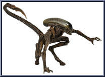 Dog Alien from Aliens - Series  8 manufactured by Neca [Loose]