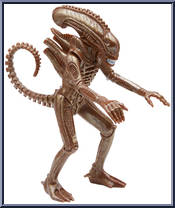Warrior Alien (Stealth) from Aliens - Xenomorph manufactured by Super7 [Loose]