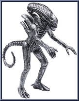 Warrior Alien from Aliens - Xenomorph manufactured by Super7 [Loose]