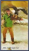 Big Josh: Eagle Set from Big Jim - Adventure Figures manufactured by Mattel [Loose]