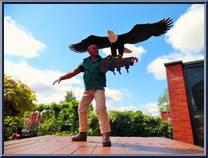 Eagle Ranger (Falconer) (Green Shirt) from Big Jim - Big Jim Outfits: Action Sets manufactured by Mattel [Loose]