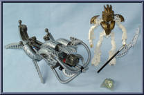 Takanuva #8596