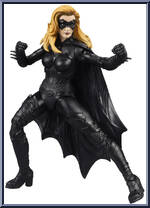 Batgirl Action Figure