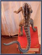 Ultimate Godzilla from Godzilla - Movie - Boxed Electronic Figures manufactured by Trendmasters [Loose]