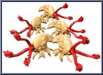 Flood (Infection Forms) Action Figure