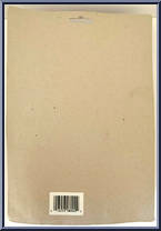 Insect Man (Brown / Yellow Helmet) from Insect Man - Basic Series manufactured by Unknown [Back]