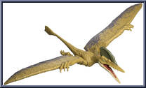 Ceoptera Action Figure
