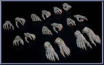 Skeletons Hands & Feet Pack from Mythic Legions - Necronominus - Accessories manufactured by Four Horsemen [Loose]