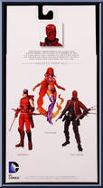 Red Hood from New 52 - Red Hood and the Outlaws manufactured by DC Collectibles [Back]