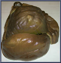Gravelguts Rock from Rocks & Bugs & Things - Rocks manufactured by Ideal [Loose]