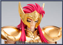 Aquarius Camus (Original Color Edition) from Saint Seiya Myth Cloth EX - Saint Seiya Manga manufactured by Bandai [Loose]