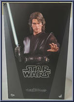 Anakin Skywalker from Star Wars - Revenge of the Sith manufactured by Hot Toys [Front]