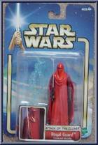 Royal Guard (Coruscant Security) Action Figure