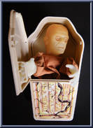 Mummy (Glow in the Dark) from Universal Monsters - Hand Puppets manufactured by Remco [Loose]