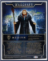 Medivh from Warcraft - Movie - Basic Series manufactured by Jakks Pacific [Back]