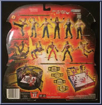 Brock Lesnar / Kurt Angle from WWE Adrenaline - Series  3 manufactured by Jakks Pacific [Back]