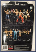 Edge from WWE Deluxe Aggression - Series 21 manufactured by Jakks Pacific [Back]