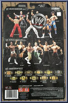 Jeff Hardy from WWE Deluxe Aggression - Series  7 manufactured by Jakks Pacific [Back]
