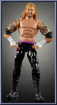 Diamond Dallas Page Action Figure