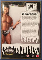 Scott Hall (NWO) from WWE Elite Collection - Exclusives manufactured by Mattel [Back]