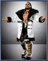 Seth "Freakin" Rollins Action Figure