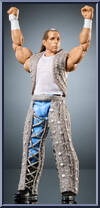 Shawn Michaels Action Figure