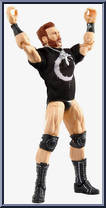 Sheamus from WWE Elite Collection - Series  84 manufactured by Mattel [Loose]