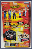 Randy Orton from WWE Pay Per View - Series  3 - Survivor Series manufactured by Jakks Pacific [Back]