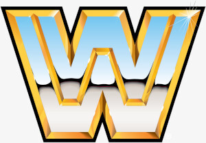 WWE Retro Series