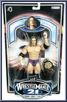 Triple H Action Figure