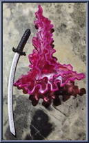 Psylocke from X-Men - Classics - Light Up Weapons manufactured by Toy Biz [Loose]
