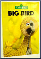Big Bird from Xxray - Sesame Street manufactured by Mighty Jaxx [Front]