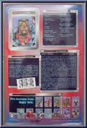 Sentinel and Cougar from Youngblood - Basic Series manufactured by Placo Toys [Back]