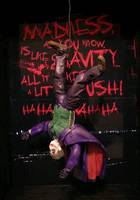 The Joker (Batman - Movie Style) Custom Action Figure