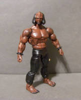 Savage Warrior of the Federation WORF (Star Trek) Custom Action Figure