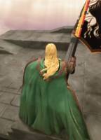 Gunna, the Rohirrim Standard Bearer (Lord of the Rings) Custom Action Figure