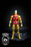 Shining Knight (DC Universe) Custom Action Figure