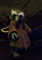 1/6 scale Master Splinter TMNT figure (Teenage Mutant Ninja Turtles) Custom Action Figure