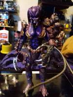 Female Predator (Predator) Custom Action Figure