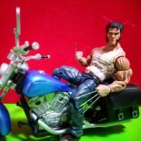 Wolverine (Marvel Legends) Custom Action Figure