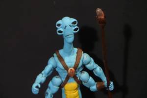 N´kata del Gormo (Star Wars) Custom Action Figure