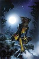 Wolfsbane (Marvel Legends) Custom Action Figure [Inspired pic]