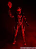 Red Hood (Batman) Custom Action Figure