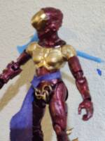 Aquadane The She Destroyer (Halo) Custom Action Figure