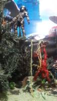 Predator Diorama (Predator) Custom Diorama / Playset