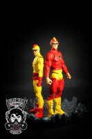 Crimson Avenger & Wing (DC Universe) Custom Action Figure