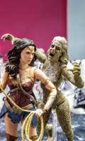 CHEETAH wonder woman 1984 figure (Wonder Woman) Custom Action Figure