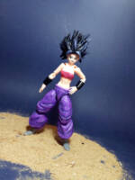 Caulifla (Dragonball Z) Custom Action Figure